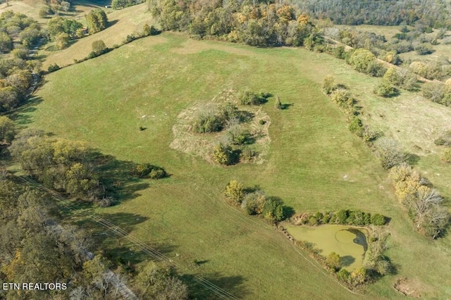 view of bird's eye view