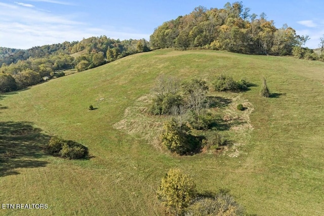 bird's eye view featuring a rural view