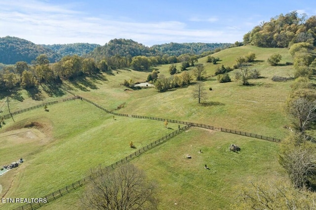 drone / aerial view featuring a rural view