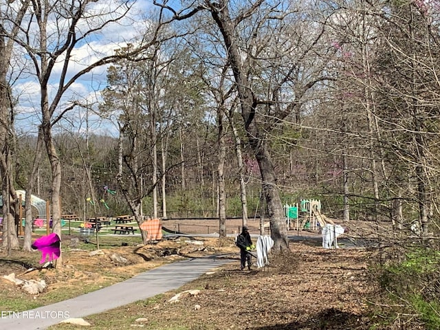 surrounding community featuring a playground