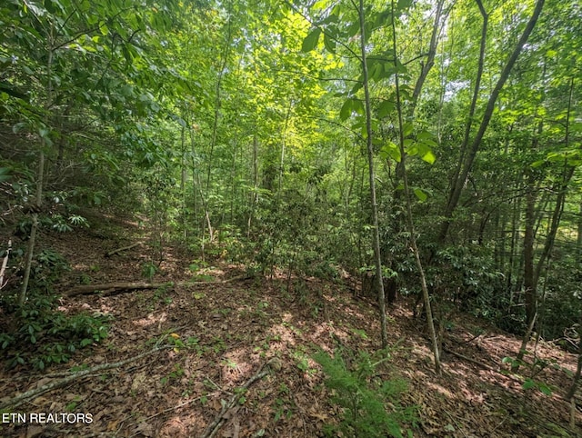 Panther Branch Rd, Jamestown TN, 38556 land for sale