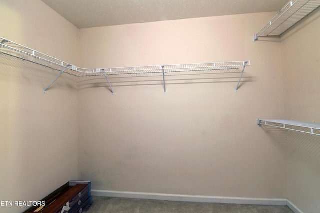 7836 Bell Rd, Knoxville, TN 37938 - photo 46