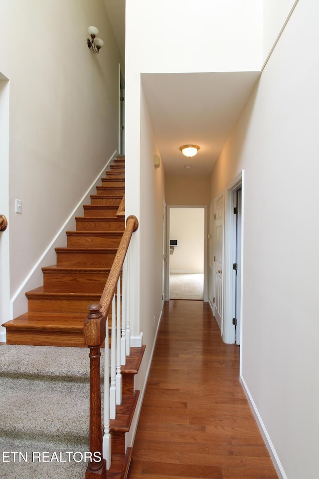 7836 Bell Rd, Knoxville, TN 37938 - photo 15