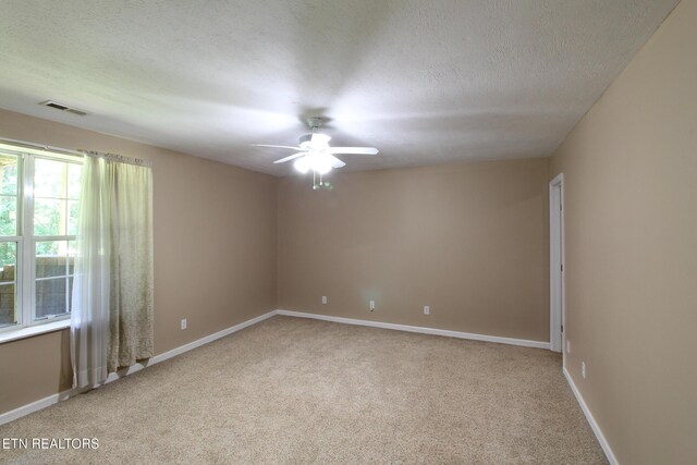7836 Bell Rd, Knoxville, TN 37938 - photo 43
