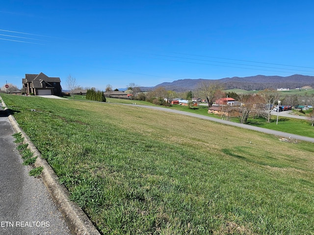 Listing photo 3 for LOT29 Zachary Ct, Harrogate TN 37752