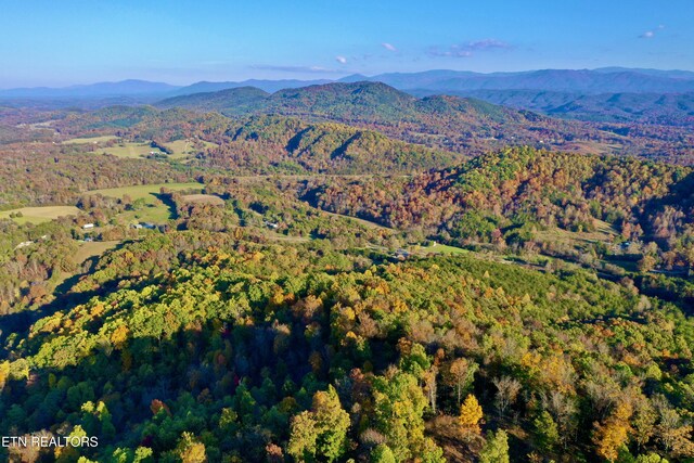 Laurel Creek Rd, Tellico Plains, TN 37385 - photo 2