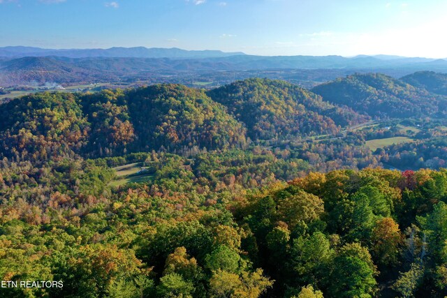 Laurel Creek Rd, Tellico Plains, TN 37385 - photo 1