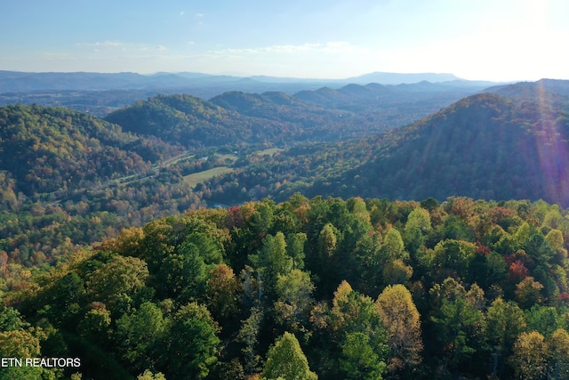 Laurel Creek Rd, Tellico Plains, TN 37385 - photo 3