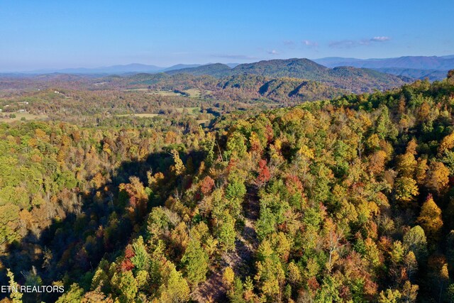 Laurel Creek Rd, Tellico Plains, TN 37385 - photo 5