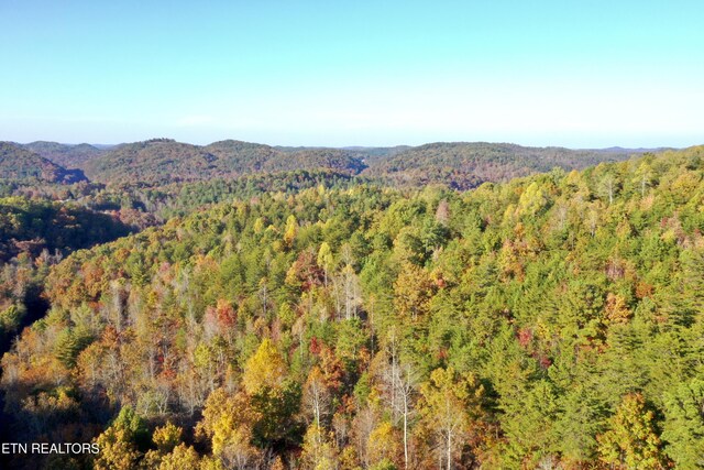 Laurel Creek Rd, Tellico Plains, TN 37385 - photo 6
