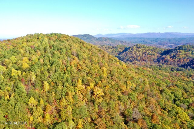 Laurel Creek Rd, Tellico Plains, TN 37385 - photo 7