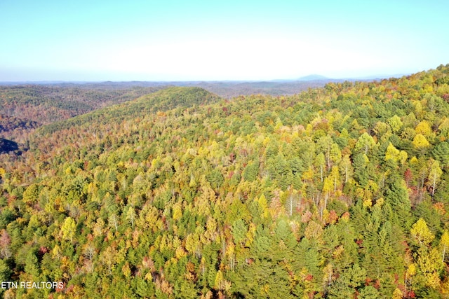 Laurel Creek Rd, Tellico Plains, TN 37385 - photo 40