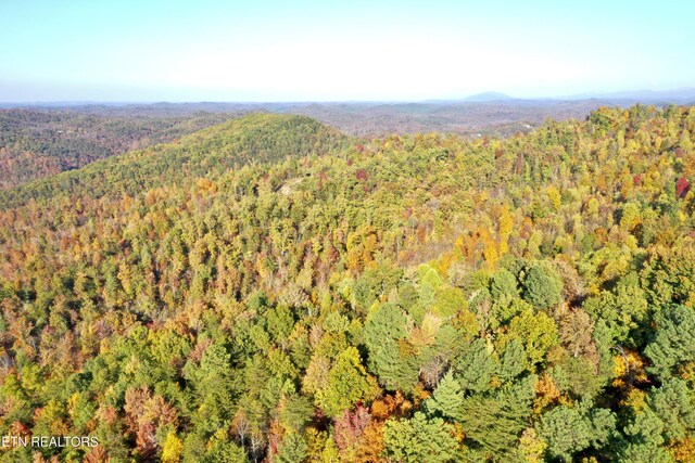 Laurel Creek Rd, Tellico Plains, TN 37385 - photo 41
