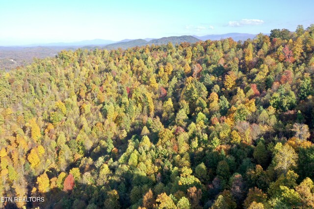 Laurel Creek Rd, Tellico Plains, TN 37385 - photo 42