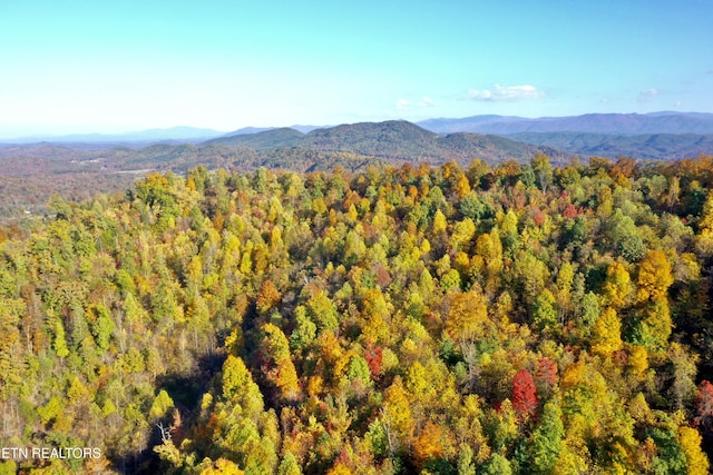 Laurel Creek Rd, Tellico Plains, TN 37385 - photo 9