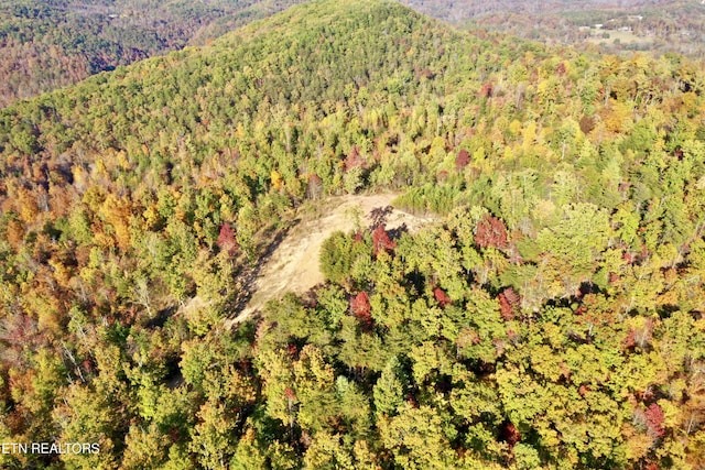 Laurel Creek Rd, Tellico Plains, TN 37385 - photo 10