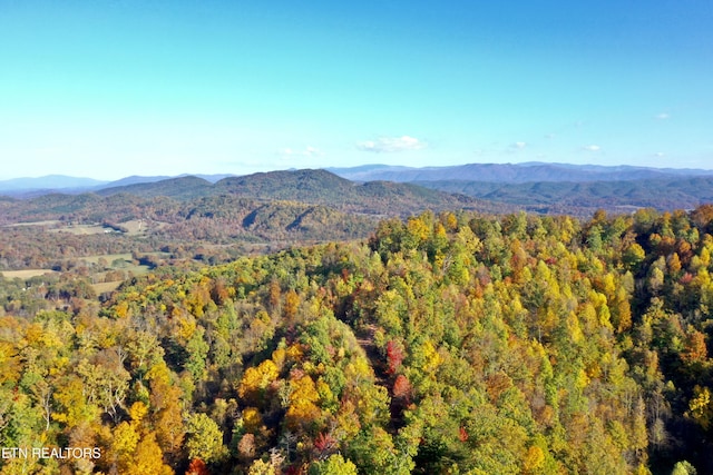Laurel Creek Rd, Tellico Plains, TN 37385 - photo 11
