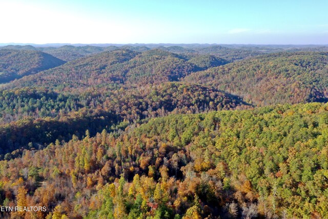 Laurel Creek Rd, Tellico Plains, TN 37385 - photo 12