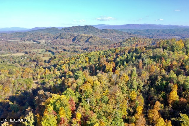 Laurel Creek Rd, Tellico Plains, TN 37385 - photo 8