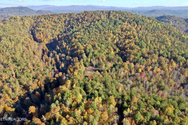Laurel Creek Rd, Tellico Plains, TN 37385 - photo 43