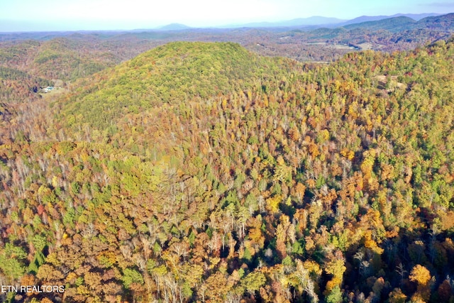 Laurel Creek Rd, Tellico Plains, TN 37385 - photo 44