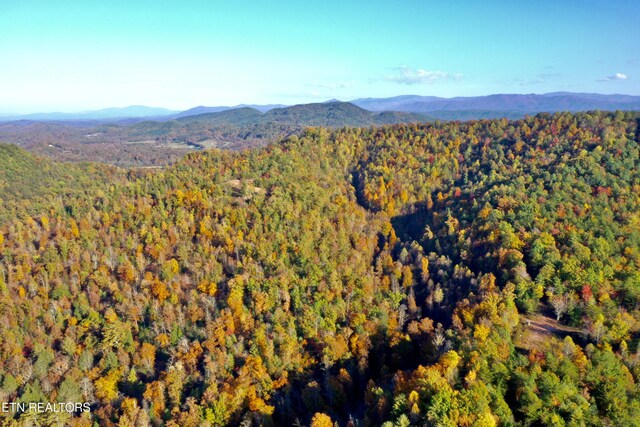 Laurel Creek Rd, Tellico Plains, TN 37385 - photo 45