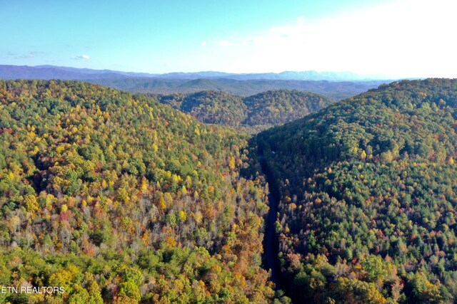 Laurel Creek Rd, Tellico Plains, TN 37385 - photo 13