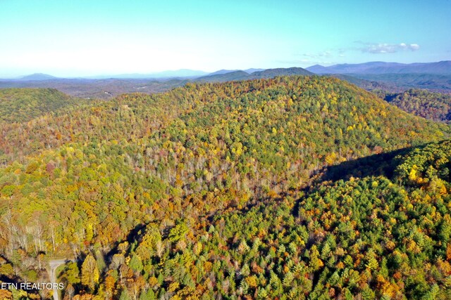 Laurel Creek Rd, Tellico Plains, TN 37385 - photo 14