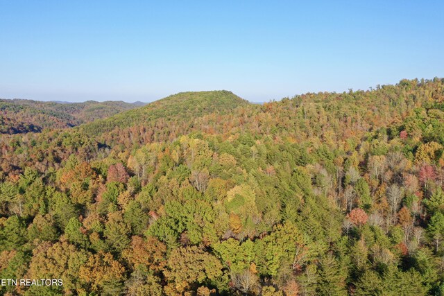 Laurel Creek Rd, Tellico Plains, TN 37385 - photo 46