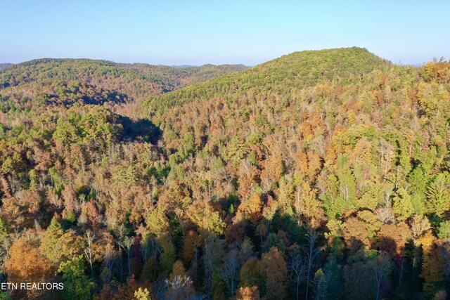 Laurel Creek Rd, Tellico Plains, TN 37385 - photo 47