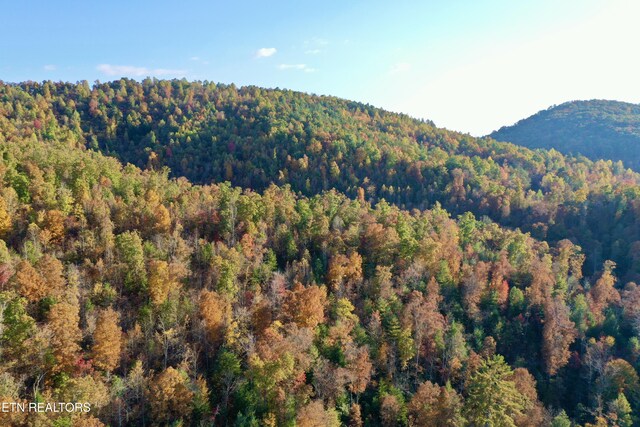 Laurel Creek Rd, Tellico Plains, TN 37385 - photo 48