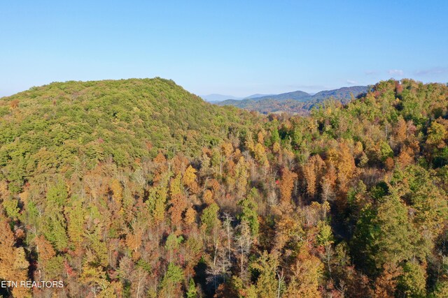 Laurel Creek Rd, Tellico Plains, TN 37385 - photo 49