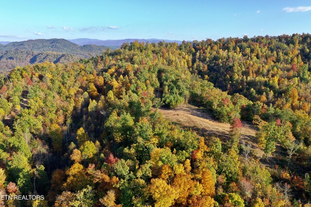 Laurel Creek Rd, Tellico Plains, TN 37385 - photo 16