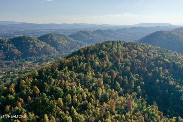 Laurel Creek Rd, Tellico Plains, TN 37385 - photo 17