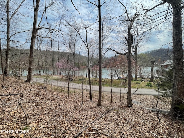 Listing photo 2 for LOT119 Laurel Lake Cir, Madisonville TN 37354