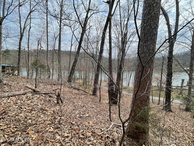 LOT119 Laurel Lake Cir, Madisonville, TN 37354