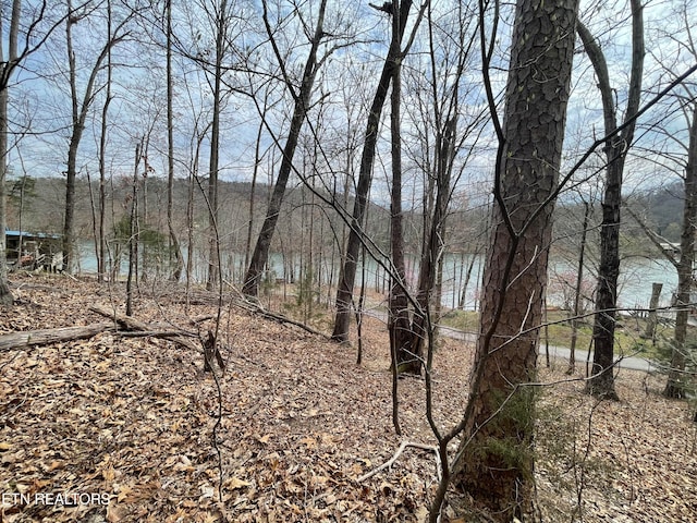 LOT119 Laurel Lake Cir, Madisonville TN, 37354 land for sale