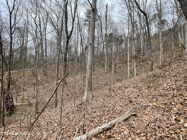 Listing photo 3 for LOT119 Laurel Lake Cir, Madisonville TN 37354