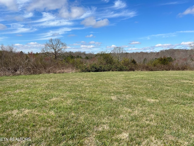 Listing photo 2 for Holt Spur Dr, Jamestown TN 38556