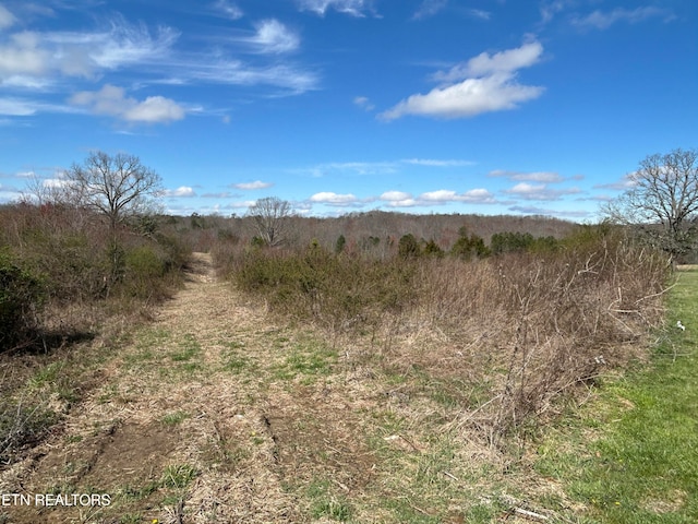 Holt Spur Dr, Jamestown TN, 38556 land for sale