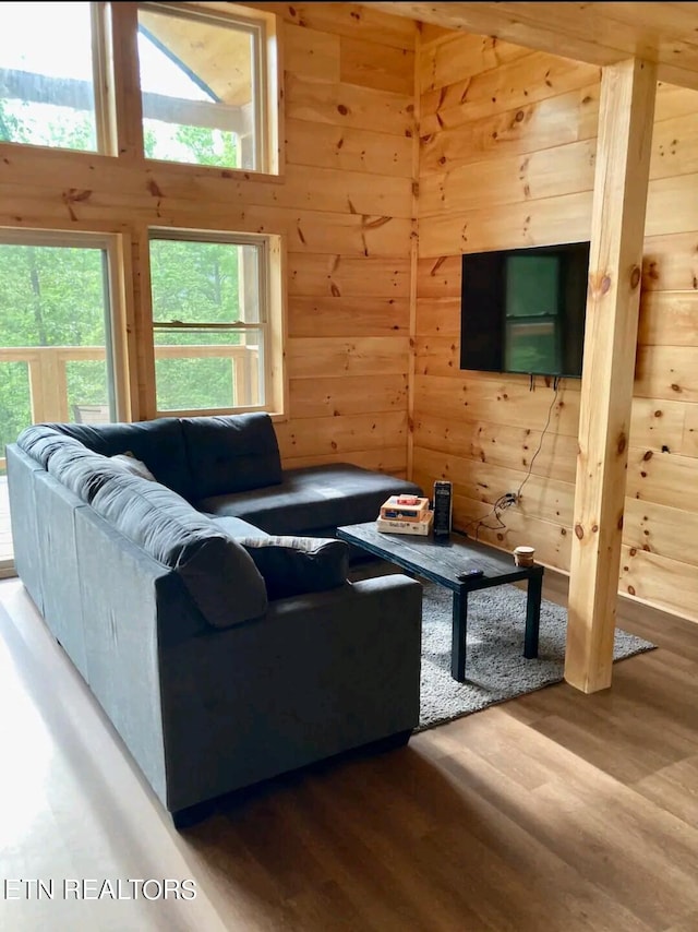 living room featuring wood walls, a healthy amount of sunlight, and hardwood / wood-style flooring