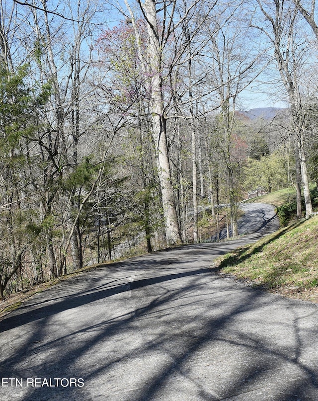 view of road with a mountain view