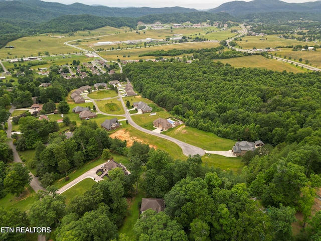 birds eye view of property with a mountain view