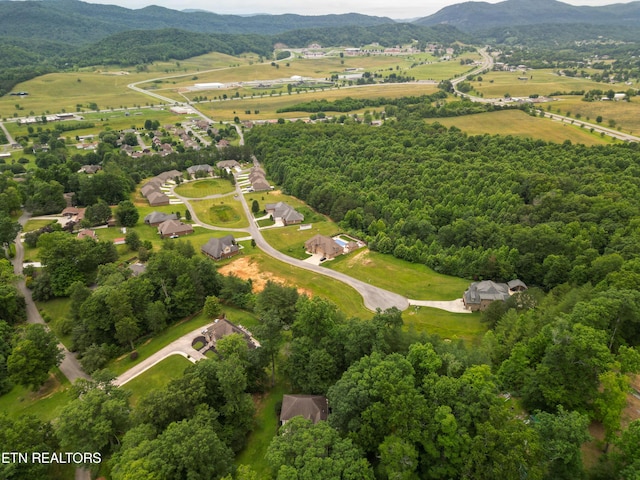 birds eye view of property featuring a mountain view