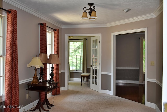 interior space with french doors, ornamental molding, carpet flooring, and a textured ceiling