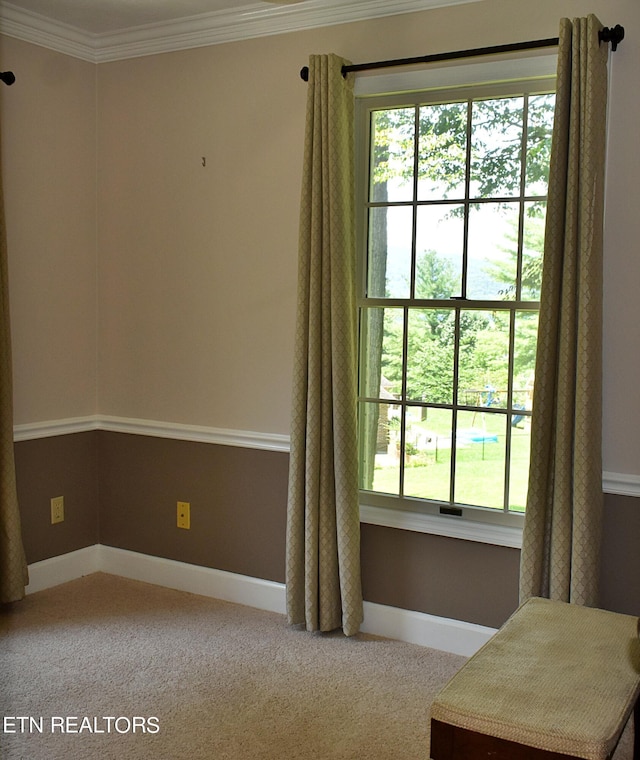 spare room with crown molding and carpet flooring