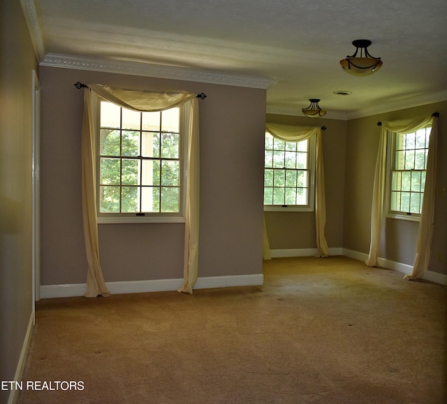 empty room with crown molding and light colored carpet