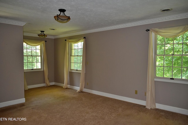 carpeted empty room featuring ornamental molding and a textured ceiling