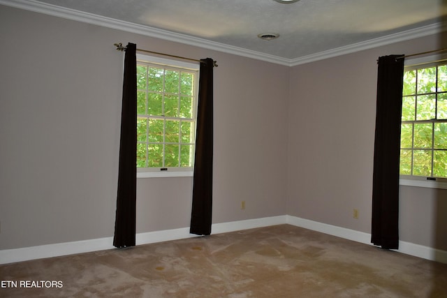 carpeted spare room featuring crown molding