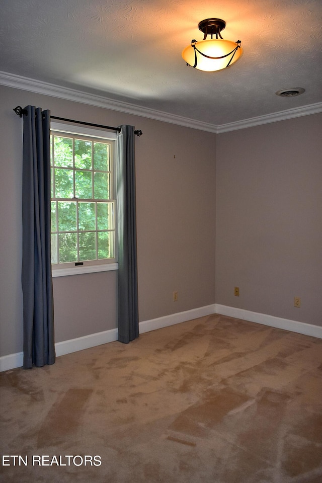 carpeted spare room featuring ornamental molding